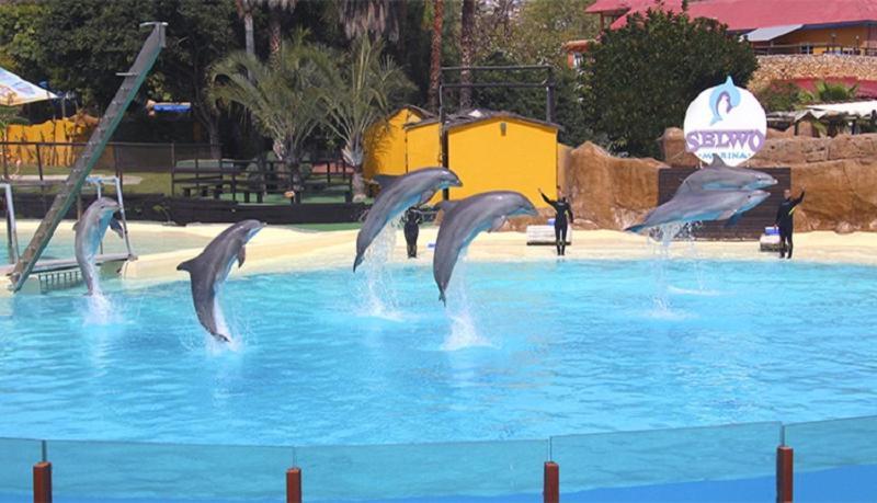 Paseo Maritimo Los Boliches. Fuengirola Exterior foto